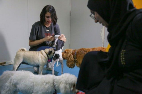 Ajman University Develops Awareness on Animal Welfare